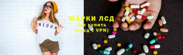 стаф Алзамай