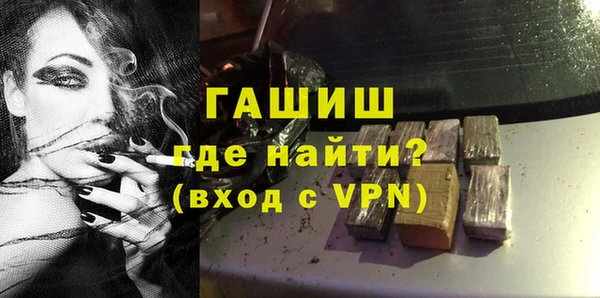 стаф Алзамай