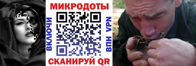 Галлюциногенные грибы Cubensis  shop какой сайт  Советск 