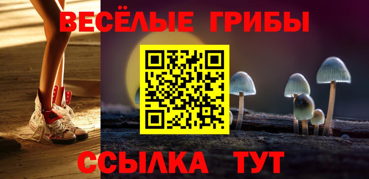 Псилоцибиновые грибы мухоморы Советск