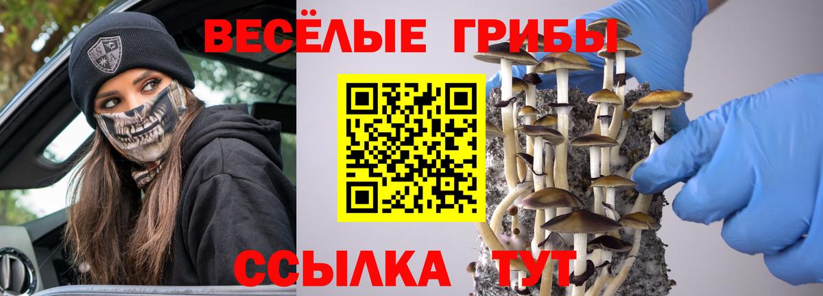Галлюциногенные грибы прущие грибы  Вход с VPN  Галлюциногенные грибы ЛСД  Советск 